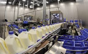milk processing unit of dairy farm business