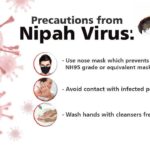 What are the Best Precautions to Defend the Nipah Virus?